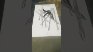 Leia mais sobre o artigo #tarot #sheilalenormand#kartadana