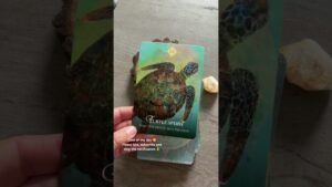 Leia mais sobre o artigo #tarot #shorts #tarotreading #tarotreader #cardoftheday #dailycards #psychic #thehermitsmoon