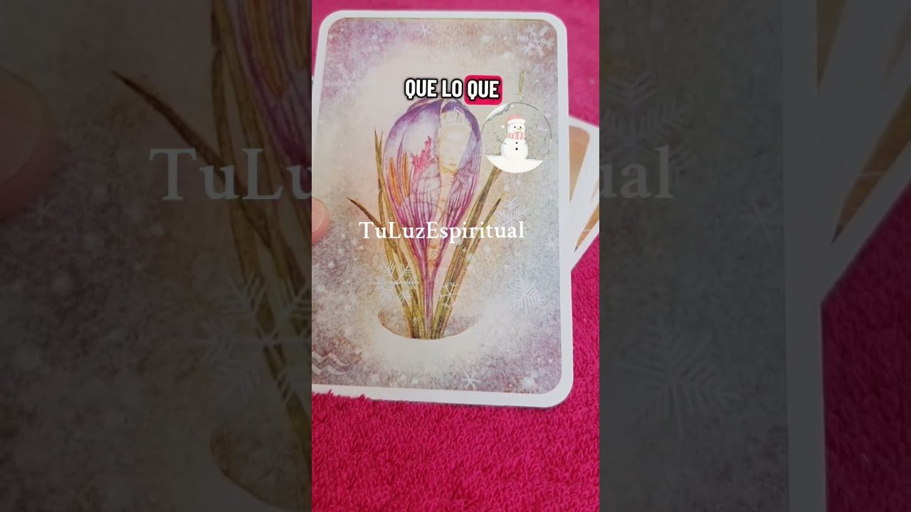 No momento, você está visualizando 💕Tarot y Videncia💕 para el 29 de Noviembre☎️ ReservacitaWhatsApp 677 86 86 59 @TuLuzEspiritual