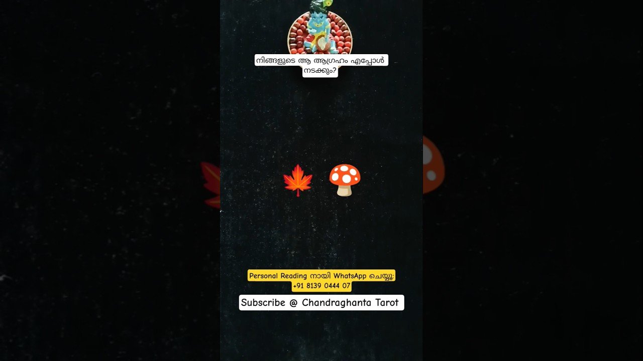 No momento, você está visualizando #timeframemalayalam #timeframetarot #timeframe #malayalamtarot #malayalamshorts #ctarot #tarot