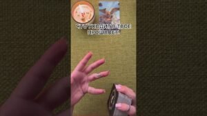 Leia mais sobre o artigo ЧТО УХОДИТ В ТВОЕ ПРОШЛОЕ?! #таро #любовь #tarot #гаданиетаро #таронаотношения  #таролог