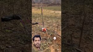 Leia mais sobre o artigo দক্ষ তীর মারা#funny #viralshorts #new #song #tarot #tamil #dj