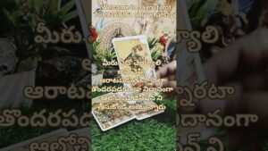 Leia mais sobre o artigo మీ చుట్టూ ఉన్న వ్యక్తులు మీ నుంచి ఏం కోరుకుంటున్నారు#tarot #fortunetelling
