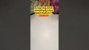 Leia mais sobre o artigo మీ చుట్టూ ఉన్న ఎలాంటి ఎమోషనల్ బ్లాక్స్ ని మీరు క్లియర్ చేసుకోవాలి ? #tarot #tarotcaards #tarot