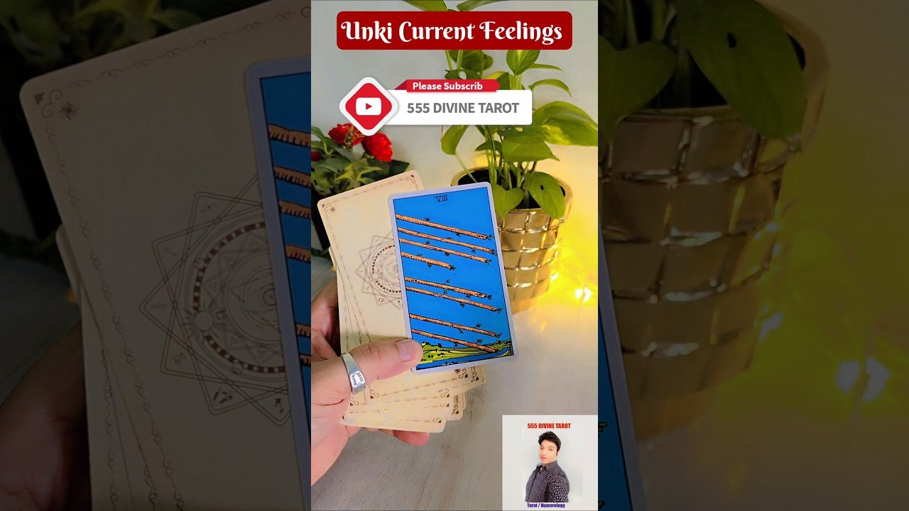 No momento, você está visualizando उनके दिल में क्या है💞💘 current feelings hindi tarot #tarot #shortsfeed