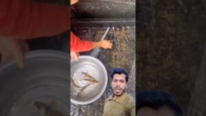 Leia mais sobre o artigo নদীর বেলে মাছ #tending #short #facts #djsong #sad #vlog #tarot