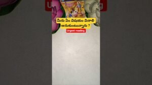 Leia mais sobre o artigo మీరు ఏం విషయం వినాలి అనుకుంటున్నారు ? #tarot #tarotcaards #tarotcardreading