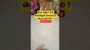 Leia mais sobre o artigo మీరు ఏదైనా పని మొదలెట్టకు ముందు ఏం తెలుసుకోవాలి ? #tarot #tarotcaards #tarotcardreading