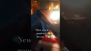 Leia mais sobre o artigo नए साल 2026 में खुशखबरी!🎈💐🥳🗞️ #whatscomingupinlovelife #tarot #tarotreading