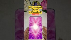 Leia mais sobre o artigo నెక్స్ట్ మీ పర్సనల్ లైఫ్ లోకి రాబోతుంది ఏంటి? #tarot #tarotcaards #tarotreading
