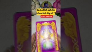 Leia mais sobre o artigo మీరు దేనిని వదిలేసి ముందుకు వెళ్లాలి ? #tarot #tarotcaards #tarotreading