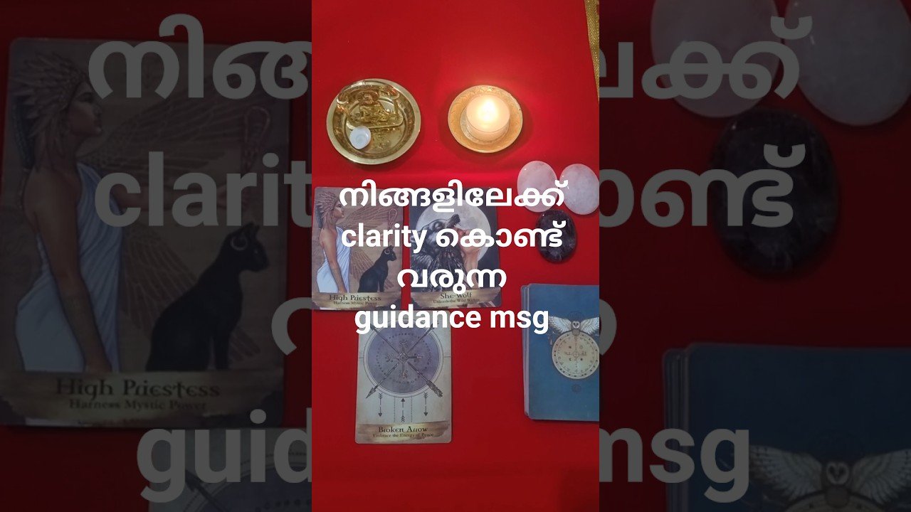 No momento, você está visualizando നിങ്ങളിലെ confused ഫീലിംഗ് മാറുന്നതിനുള്ള guidence മെസ്സേജ് #tarot# tarotreading
