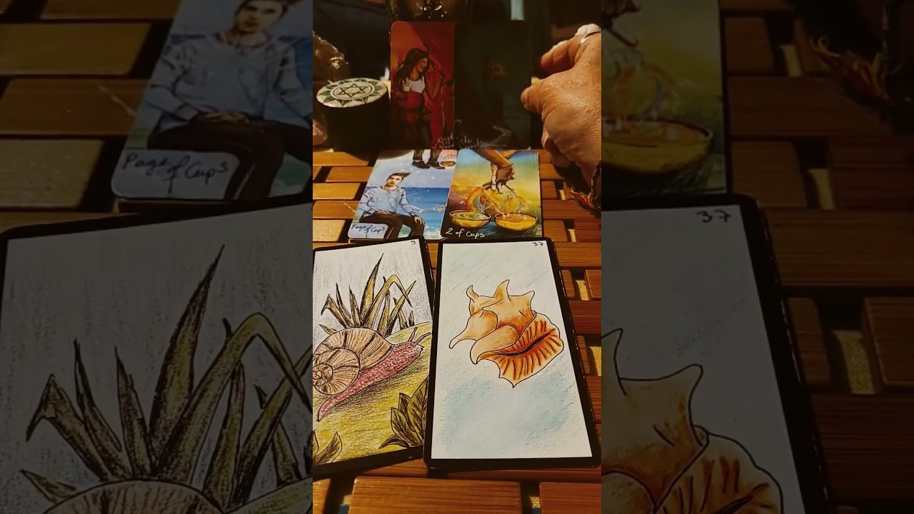 No momento, você está visualizando 23 décembre 2025#bienetre #tarot #cartes #guidance #ame #tiragedecartes #cartomancia