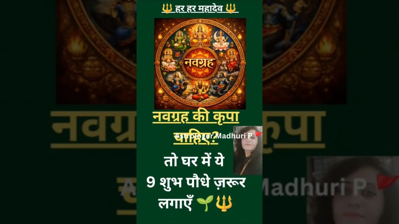 No momento, você está visualizando 9 ग्रहों की कृपा देंगे ये 9 पौधे अवश्य लगाए  #astrology #harharmahadev #2026predictions #tarot