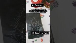 Leia mais sobre o artigo உங்கள் நபரின் எண்ணங்கள் மற்றும் அவர்களின் அடுத்த நடவடிக்கை #shorts #shortsfeed #tarot