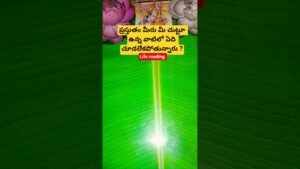 Leia mais sobre o artigo ప్రస్తుతం మీరు మీ చుట్టూ ఉన్న వాటిలో ఏది చూడలేకపోతున్నారు ? #tarot #tarotcaards #telugutarot #shorts