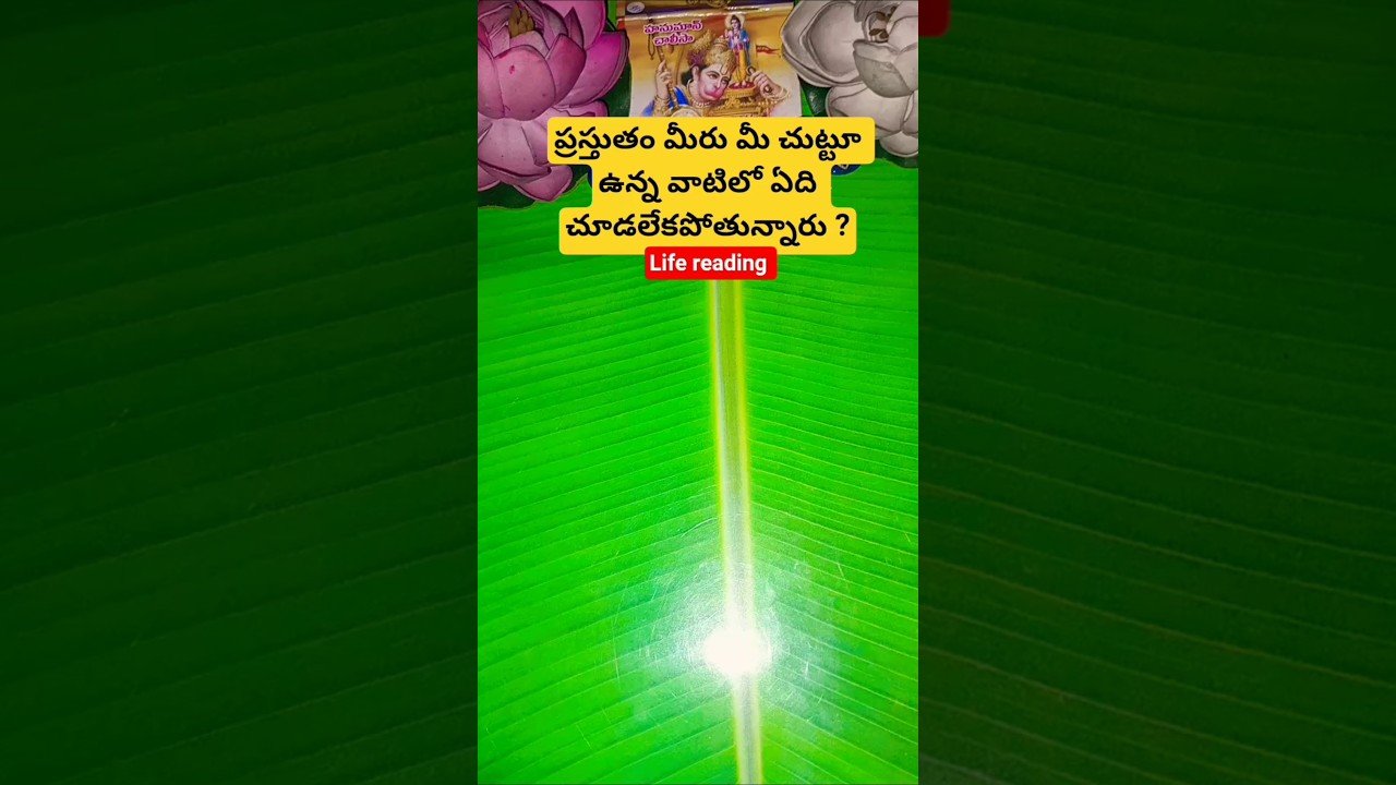No momento, você está visualizando ప్రస్తుతం మీరు మీ చుట్టూ ఉన్న వాటిలో ఏది చూడలేకపోతున్నారు ? #tarot #tarotcaards #telugutarot #shorts