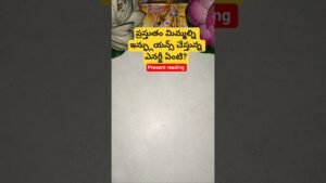 Leia mais sobre o artigo ప్రస్తుతం మిమ్మల్ని ఇన్ఫ్లుయన్స్ చేస్తున్న ఎనర్జీ ఏంటి? #tarot #tarotcaards #tarotreading