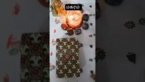 Leia mais sobre o artigo மகரம்❤️உங்கள் நபரின் உங்களை பற்றிய உணர்வுகள் #shorts #shortsfeed #tarot