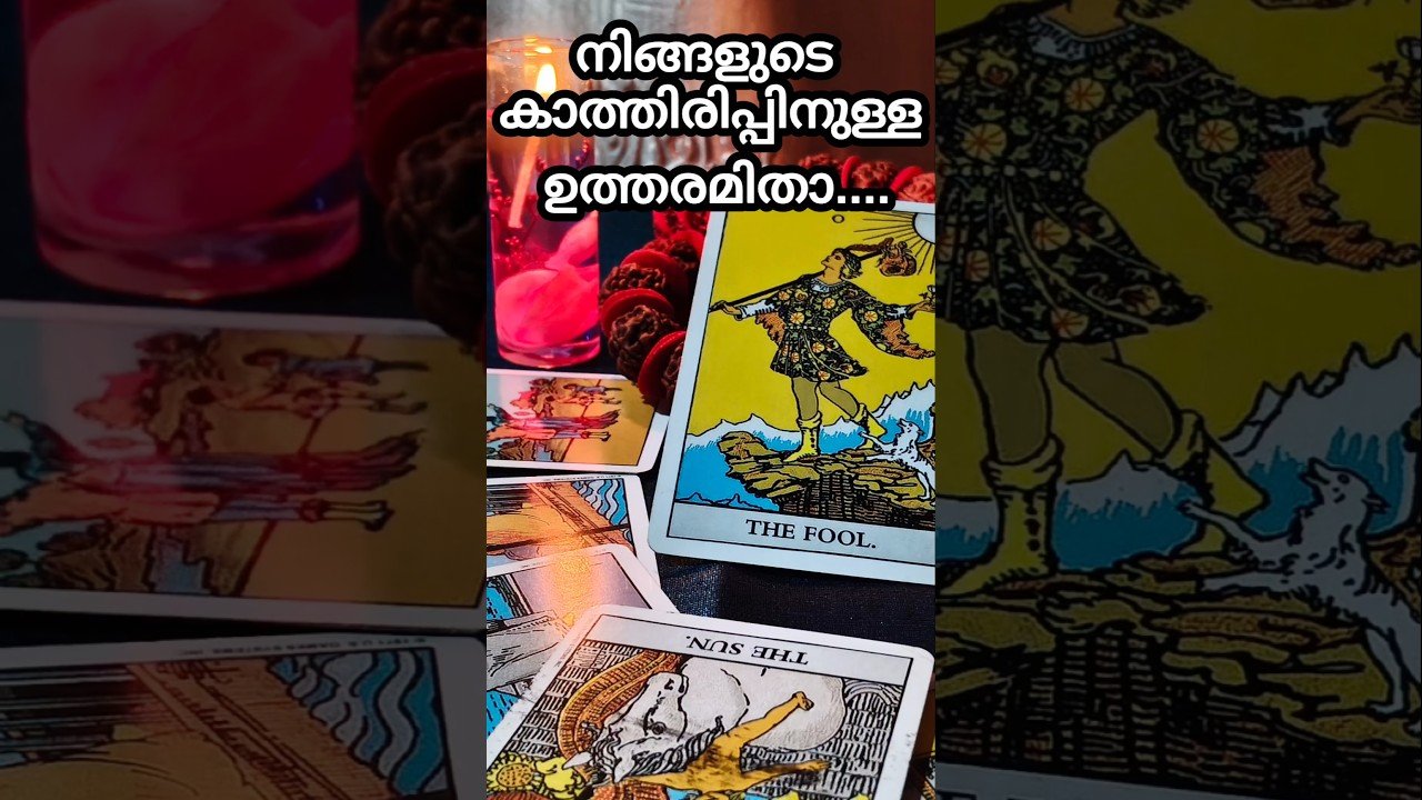 No momento, você está visualizando “കാത്തിരിപ്പിനുള്ള ഉത്തരം #tarot#shorts#astrology #malayalamtarot#1111divinejusticetarot”
