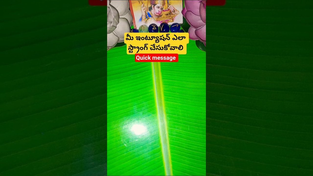 No momento, você está visualizando మీ ఇంట్యూషన్ ఎలా స్ట్రాంగ్ చేసుకోవాలి #tarot #tarotcaards