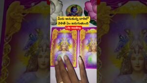 Leia mais sobre o artigo మీరు అనుకున్న దారిలో వెళితే ఏం జరుగుతుంది #tarot #tarotcaards #tarotcardreading