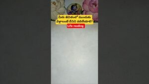 Leia mais sobre o artigo మీరు జీవితంలో ముందుకు వెళ్లాలంటే దేనిని వదిలేయాలి? #tarot #tarotcaards #tarotreading