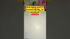Leia mais sobre o artigo మీరు వెళ్తున్న పనిలోనే ముందుకు వెళ్తే నెక్స్ట్ ఏం జరుగుతుంది? #tarot #tarotcaards #fortunetelling
