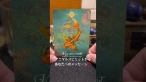 Leia mais sobre o artigo アニマルスピリットから、あなたへのメッセージ‼️オラクルカードリーディング💕