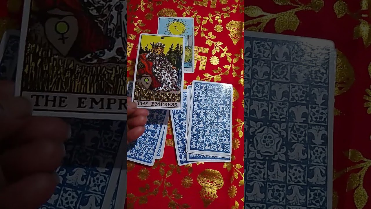 No momento, você está visualizando Apki partner🫂 ki feelings🌹 kya he apke liye 🫂check the tarot🫰 #tarot #shivshakti #messages #💫💕🌹💕🧿🕉️🧿