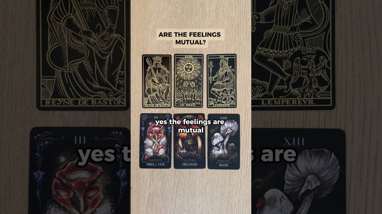 No momento, você está visualizando Are The Feelings Mutual? ❤️ The Answer Is Clear #earthrisetarot #tarot
