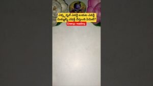 Leia mais sobre o artigo ఎక్స్టర్నల్ ఎనర్జీ బయట ఎనర్జీ మిమ్మల్ని ఎఫెక్ట్ చేస్తుంది ఏమిటి? #tarot #tarotcaards #tarotcardread