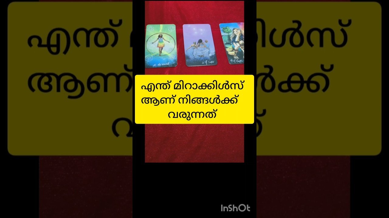 No momento, você está visualizando എന്ത് മിറാക്കിൾസ് ആണ് വരുന്നത് #tarot #tarotreading #shortvideo