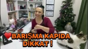 Leia mais sobre o artigo ♥️BARIŞMA KAPIDA ‼️DİKKAT #tarot #uranyenastroloji #astroloji #tarotfali #aşkfalı #fal #tarotread