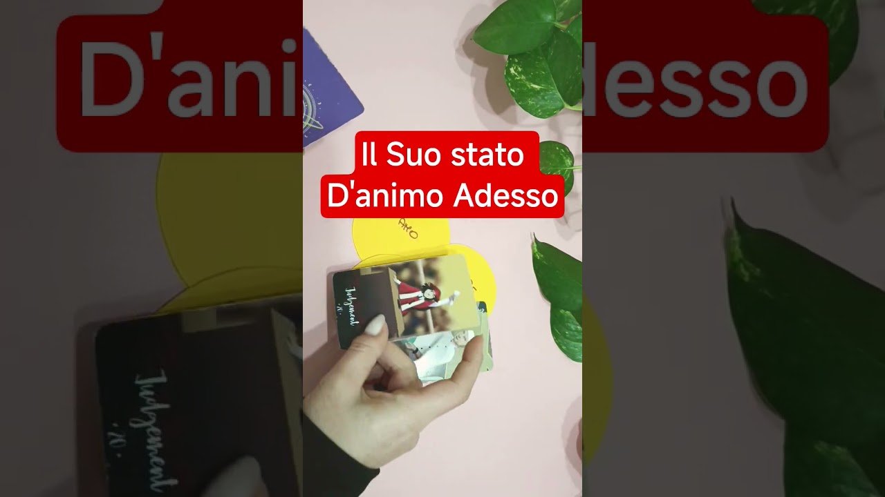 No momento, você está visualizando COME TI PENSA OGGI…❤️‍🩹 #tarocchi #tarot #itarocchidicristy #canalizzazione #tarocchioggi