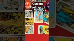 Leia mais sobre o artigo “Current feelings of your Person #tarot #shorts#astrology#malayalamtarot “