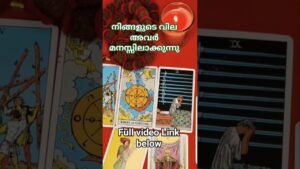 Leia mais sobre o artigo “Current Feelings 🔥”#shorts#tarot #astrology#tarotreadingmalayalam