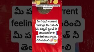 Leia mais sobre o artigo December 26, 2025 #tarot #tarotreading #capricorn#astrology #capricorn#astrology#youtube #shortsfeed