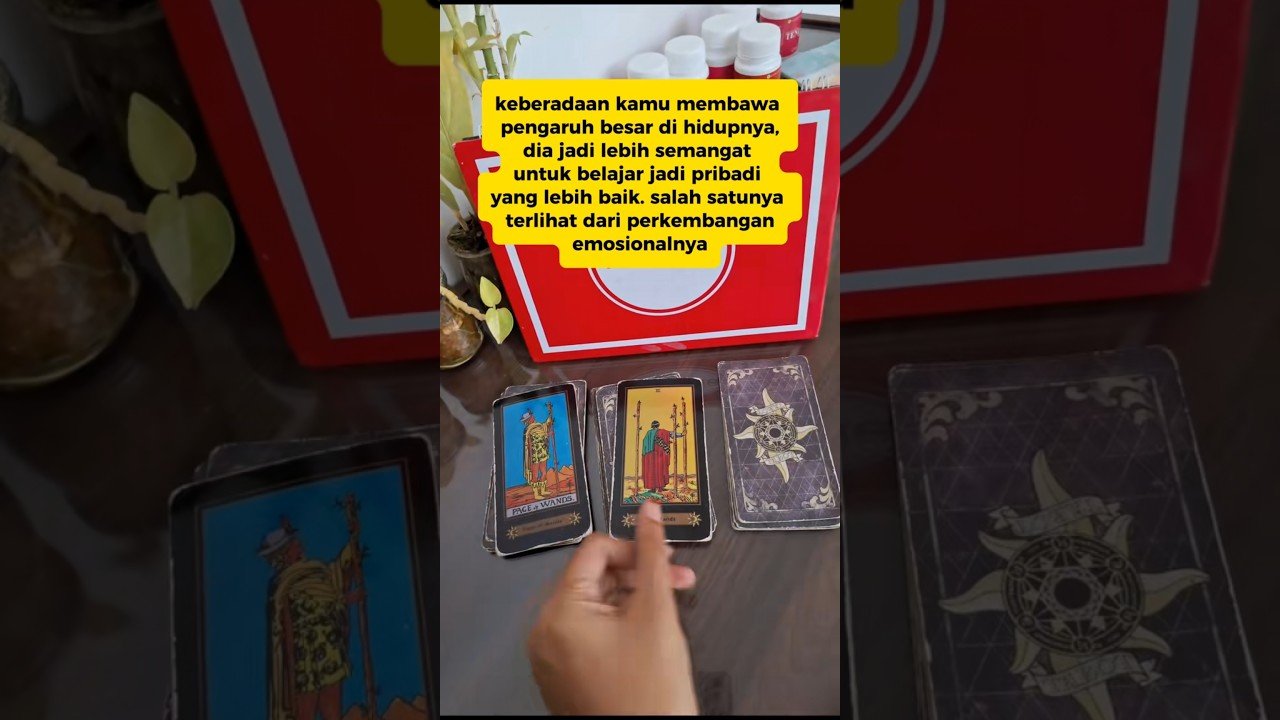 No momento, você está visualizando dia tidak sanggup kehilanganmu #tarot #tarotreading #tarotcards #tarotreader