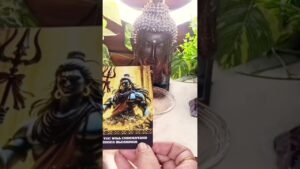 Leia mais sobre o artigo Divine Blessings #currentfeelings #tarot #astrology #mahadev #shiv