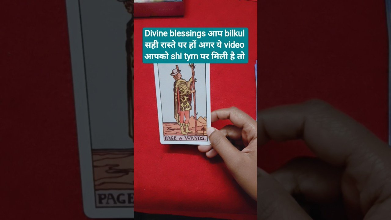 No momento, você está visualizando Divine blessings for you 😍 new start new energy new growth in your life ❤️ #positivevibe #tarot 🧚🦋💯