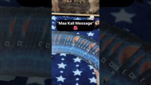 Leia mais sobre o artigo “Maa Kali Message”🌺🥰‼️#shorts #ytshorts #tarot #spritualguidance