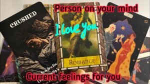 Leia mais sobre o artigo Person on your mind : Current Feelings for you💞Hindi tarot card reading