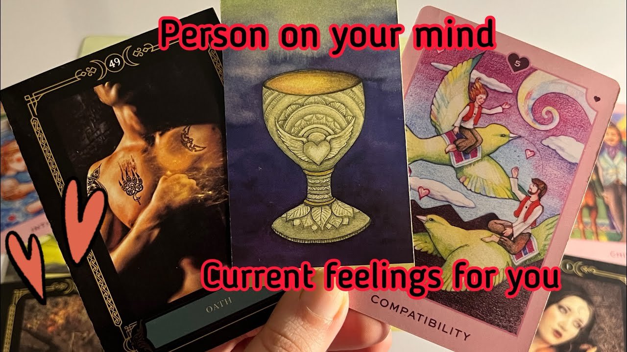 No momento, você está visualizando Person on your mind : Current Feelings for you💞Hindi tarot card reading
