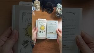 Leia mais sobre o artigo REFLEXÃO DO DIA. DEIXE O SOL ENTRAR NA SUA VIDA. #cartomante #tarot #tarologo #oraculista