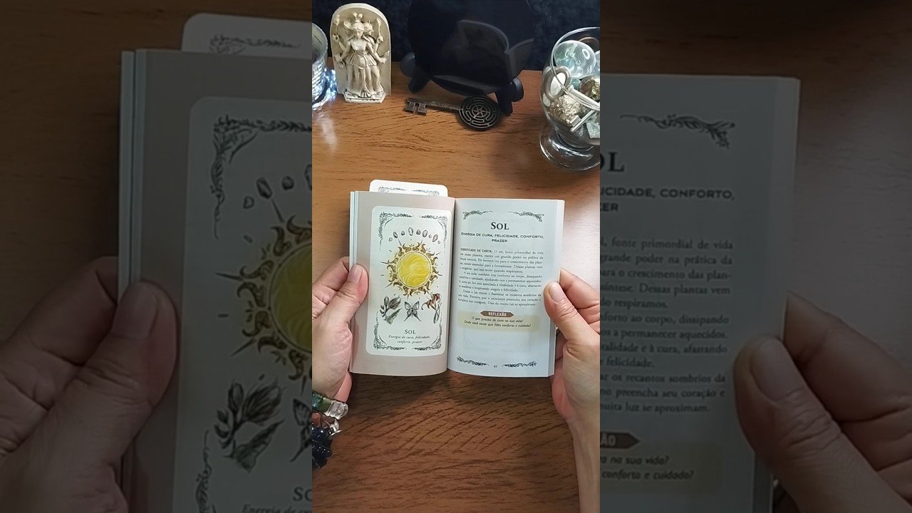 No momento, você está visualizando REFLEXÃO DO DIA. DEIXE O SOL ENTRAR NA SUA VIDA. #cartomante #tarot #tarologo #oraculista