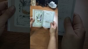 Leia mais sobre o artigo REFLEXÃO DO DIA, FAÇA ALGO PARA RENOVAR O SEU EU. #cartomante #tarot #oraculista #tarologo