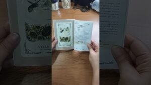 Leia mais sobre o artigo REFLEXÃO DO DIA: FOCO NO QUE É MAIS IMPORTANTE. 🦭#cartomante #tarot #tarologo #oraculista