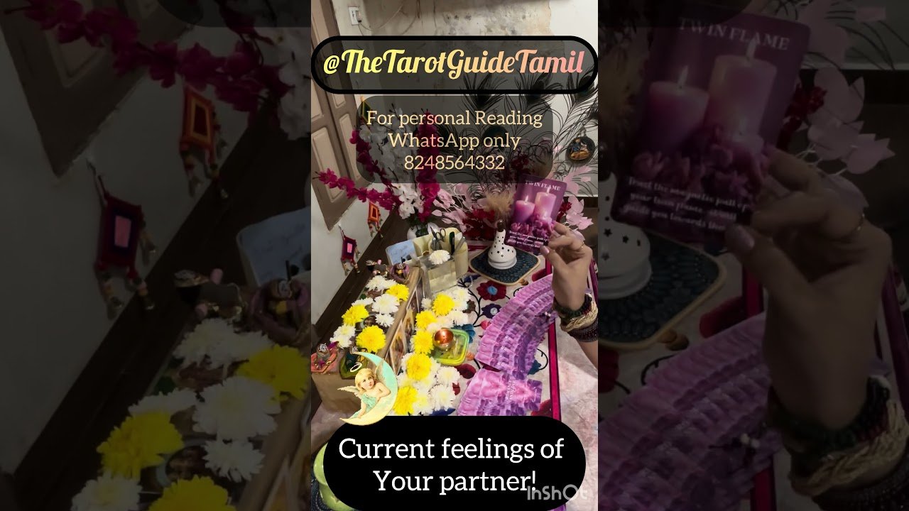 No momento, você está visualizando #tamiltarot #tarot #tarotlovereading #tarotlovemessages #tarotlove #tarotloveprediction