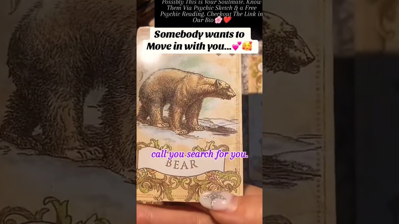 No momento, você está visualizando #tarotreading #tarot #soulmate #zodiac #spirituality #astrology #shorts #lovetarot #love #usa #facts